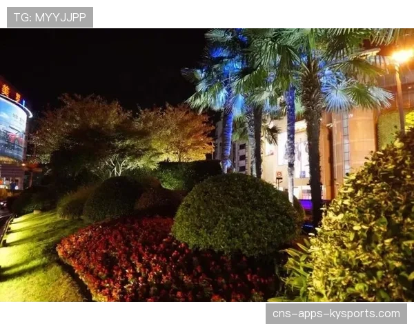 球场夜间观赛区安全灯光布局优化与节能策略，球场灯光刺眼怎么办